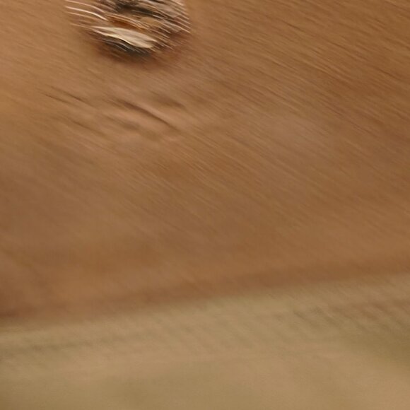 Large Le Pliage Nylon Tote & small Le Pliage Nylon Tote - Picture 11 of 16